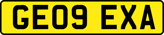 GE09EXA