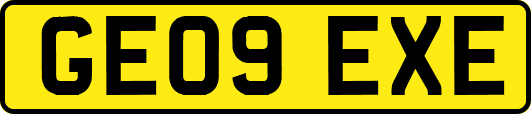 GE09EXE