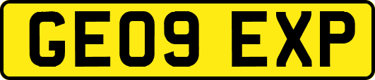 GE09EXP