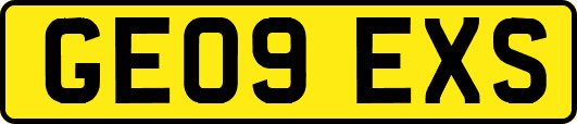 GE09EXS