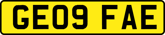 GE09FAE