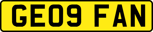 GE09FAN