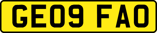 GE09FAO