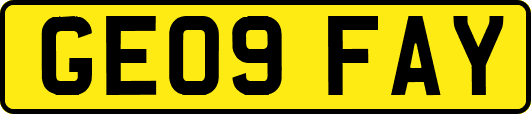 GE09FAY