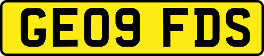 GE09FDS