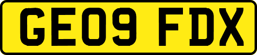 GE09FDX