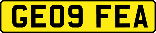 GE09FEA