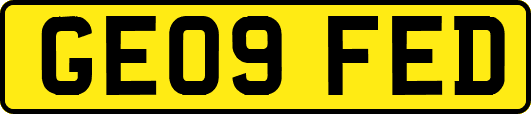 GE09FED