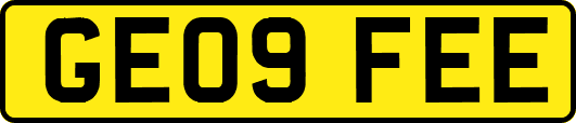 GE09FEE