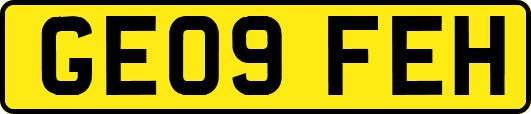 GE09FEH