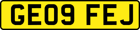 GE09FEJ