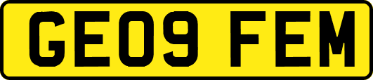 GE09FEM