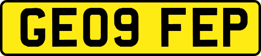 GE09FEP