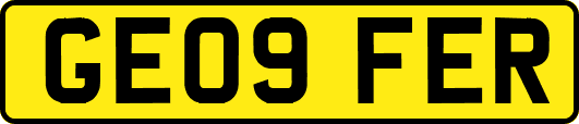 GE09FER