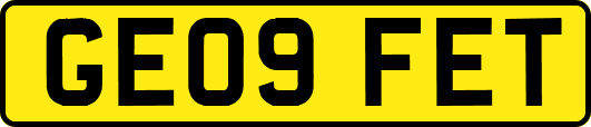 GE09FET