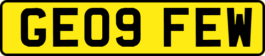 GE09FEW