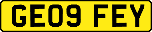 GE09FEY