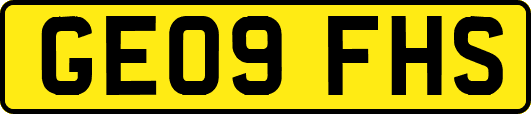GE09FHS