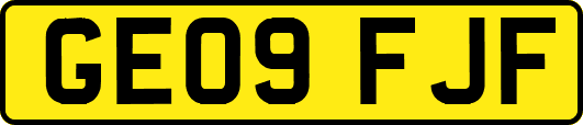 GE09FJF