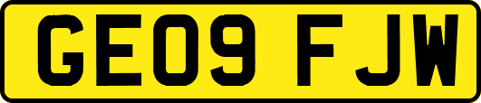 GE09FJW
