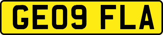GE09FLA