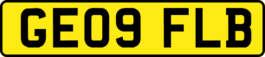 GE09FLB