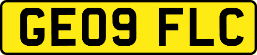 GE09FLC