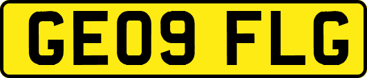 GE09FLG