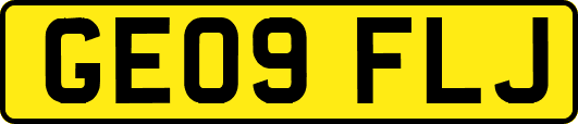 GE09FLJ