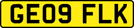 GE09FLK