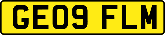 GE09FLM