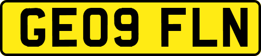 GE09FLN