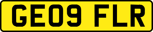 GE09FLR