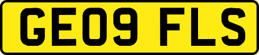 GE09FLS