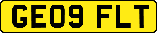GE09FLT