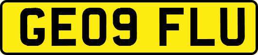 GE09FLU