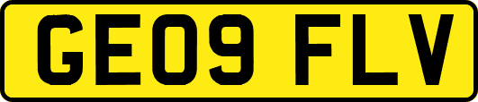 GE09FLV