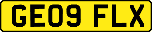 GE09FLX