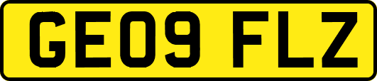 GE09FLZ