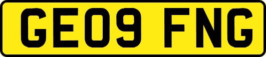 GE09FNG
