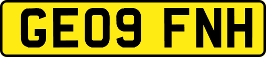 GE09FNH
