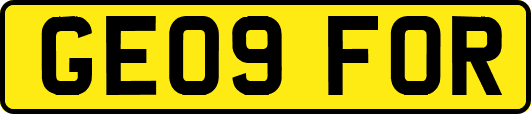 GE09FOR