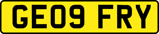 GE09FRY
