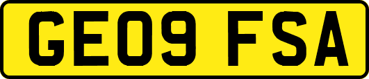 GE09FSA