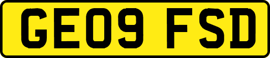 GE09FSD