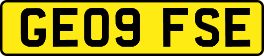 GE09FSE