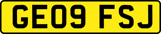 GE09FSJ