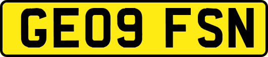 GE09FSN
