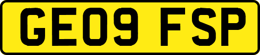GE09FSP