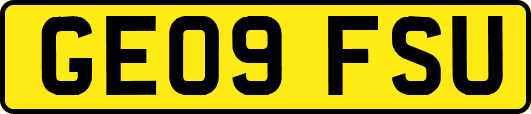 GE09FSU